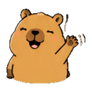 005