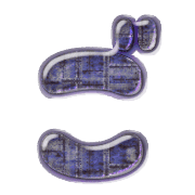 060