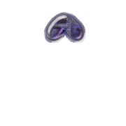 231