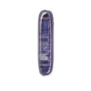 242