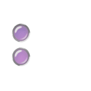 244
