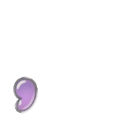 245