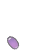 256