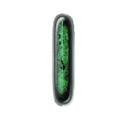 242