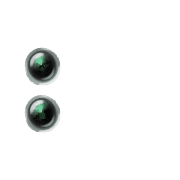 244