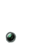 246