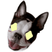 009