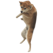 002