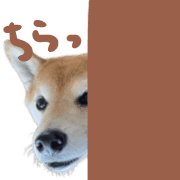 005
