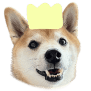 009