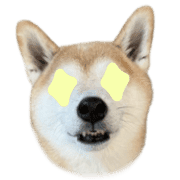 011