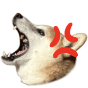013