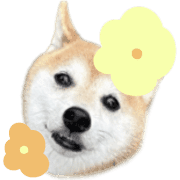 015