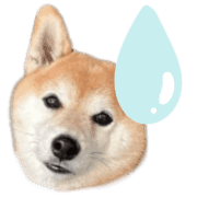 020