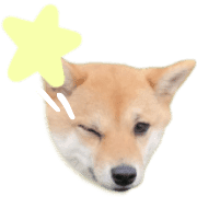 030
