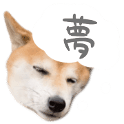 040