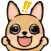 005