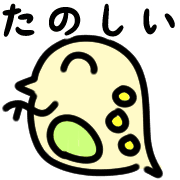 029
