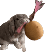 013