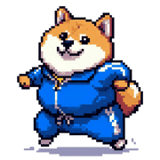 003