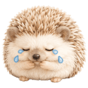 016