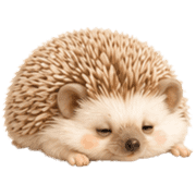 026