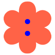 244