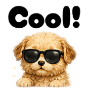 004