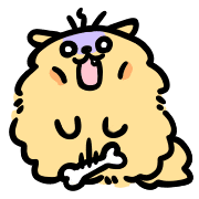 005