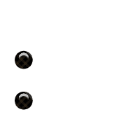 244