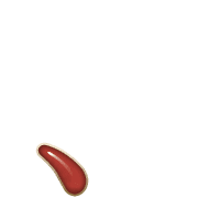 256