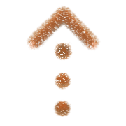 015