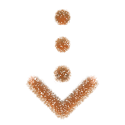 016