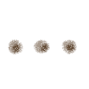 033