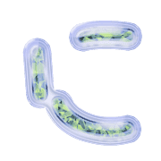 022
