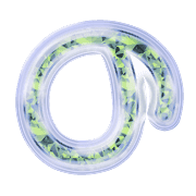 025