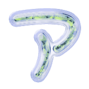 081