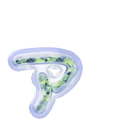 127