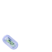 256