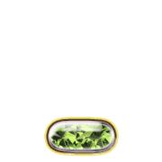 250