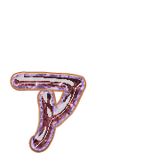 127