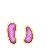 048