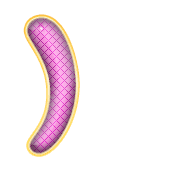 235