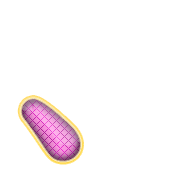 256