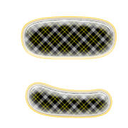 010