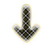 261