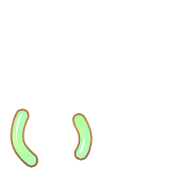 048
