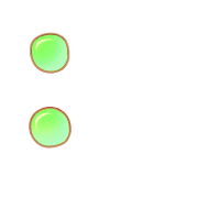 244