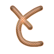 020