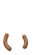 048